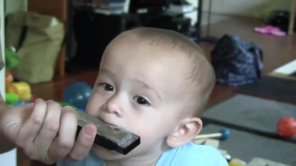 Малко дете се опитва да свири на хармоника (смях)