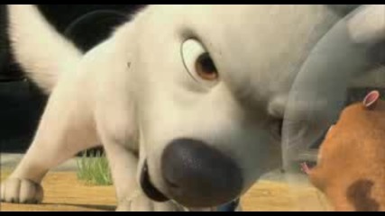 Bolt Trailer