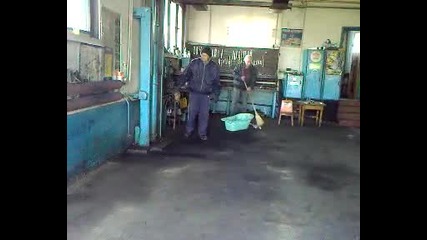 Жоро Кобрата как нарежда на Иво да запали боклуците му от сервиза в реката София, ул, Букет 65