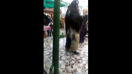 Kukeri Meden rudnik 2014