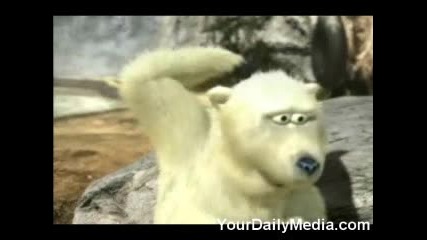 Polar Bear
