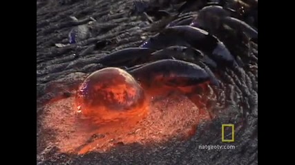 lava 