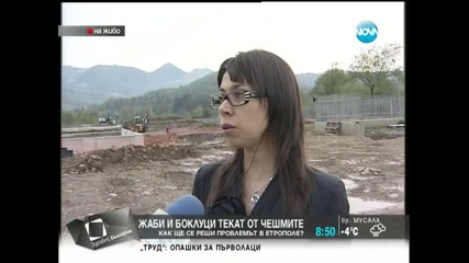 Жаби и боклуци текат от чешмите в Етрополе - Здравей, България (28.04.2014г.)