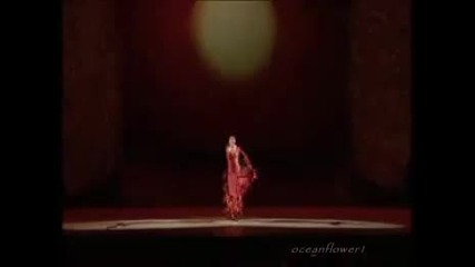 Firedance - Adagio (albinoni) in rhythm of flamenco 
