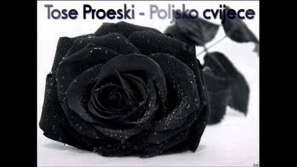 .tose Proeski 