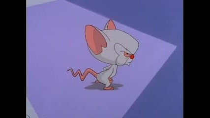 Pinky and the Brain,ep.6