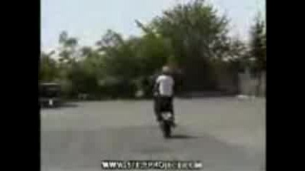 motori 