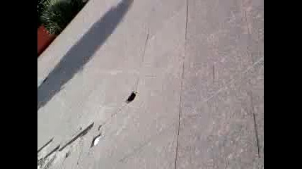 Red Hot Chili Peppers - Cant Stop ( Високо Качество ) 