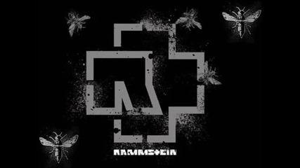 Rammstein - Я тебя ненавижу (du Hast remix by Psycho Brigade) 