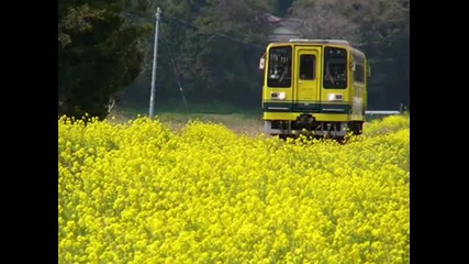 Secret Garden-serenade to Spring