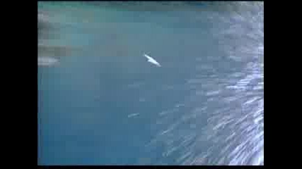 Sandra-heaven Can Wait