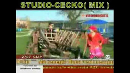 Ionut Cercel I Cecko (mix).avi