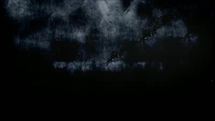 Intro test (haldenboom) 
