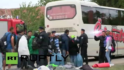Croatia: Refugees in Tovarnik wait to board buses to undisclosed location