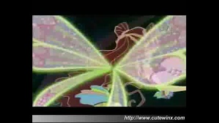 winx club - a boy 