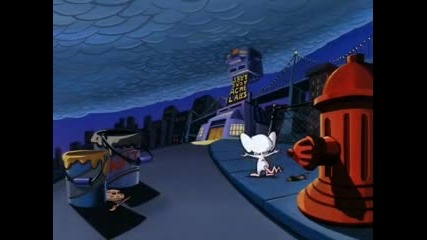 Pinky and the Brain,ep.14