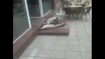 qdosano ku4e