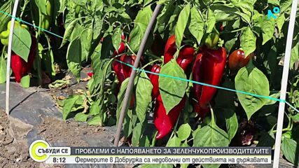 Зеленчукопроизводители алармират за проблеми с напояването в Добруджа