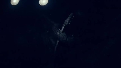 In This Moment - Big Bad Wolf