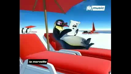 Pigloo - Le Ragga Des Pingouins