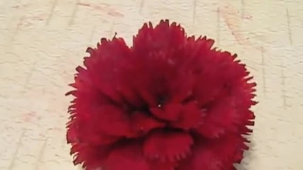 Carving fruit 2