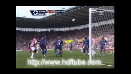 Stoke City - Sunderland 1 - 0 (1 - 0,  29 8 2009)