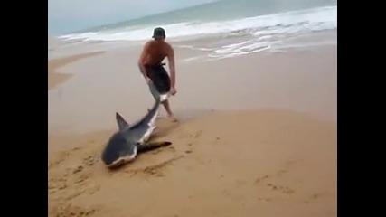 Сърфист помага на акула