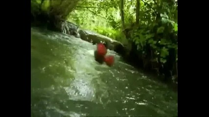 Amplifier - Planet Of Insects