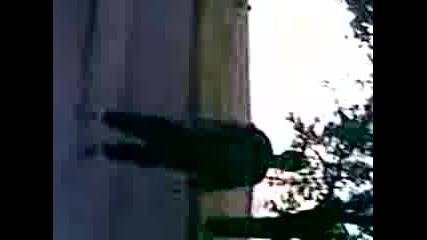 pian 2 . s.rogosh