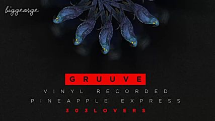 Gruuve - Vinyl Recorded ( Original Mix )