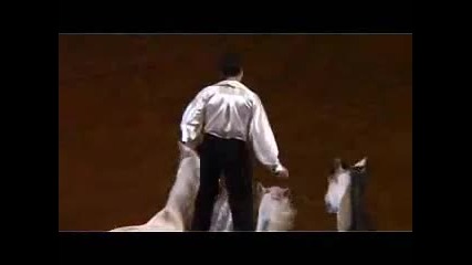 lorenzo the flying horseman 