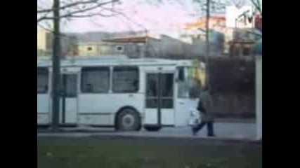 Кайсиева Градина - Тролея