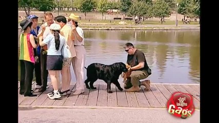 Смяна на кучета от голямо на малко Скрита Камера