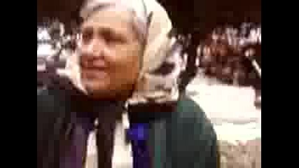 Ivana N2