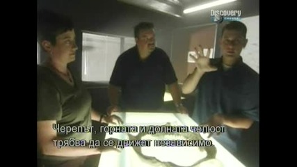 Акула Vs. Хипопотам - Discovery Channel + Bg Sub Част2/4