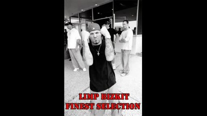 Limp Bizkit - Finest selection of sounds