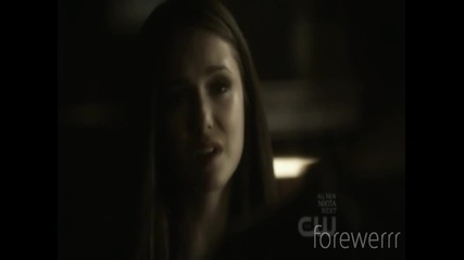 Elena and Stefan Love