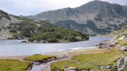 Красотата на Пирин планина - Алени звезди