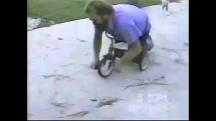 Caidas - Golpes - Risa - Funny - Animals - Bloopers (2) 