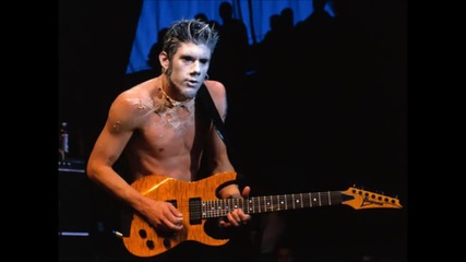 Limp Bizkit (wes Borland)