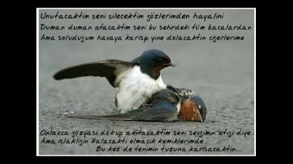 Severken Ayrildik