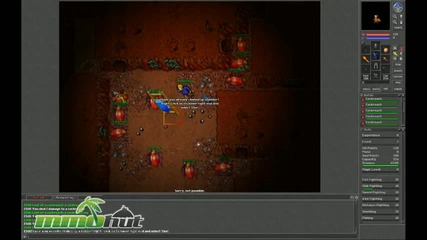 Tibia Gameplay - First Look