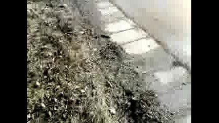 05022009170.mp4