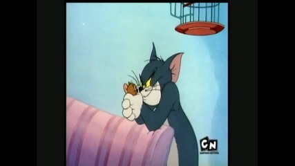 H D - Tom and Jerry - Kitty Foiled 