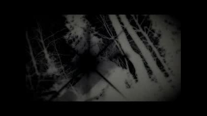 Гевал и Шмели - умрем живыми
