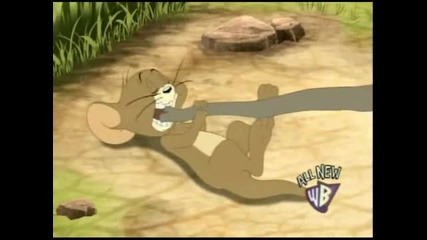 Том и Джери - 62