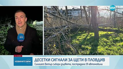 Бурният вятър в Пловдив: Над 90 сигнала за сериозни материални щети и потрошени автомобили
