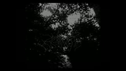 When Woods Make Graves - This Forest That Will Eclipse The Sky ( Full Album )