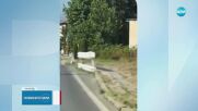 Влачено с кола: Задържаха мъж от Банско за жестокост към куче