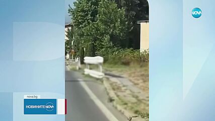 Влачено с кола: Задържаха мъж от Банско за жестокост към куче